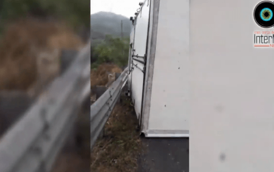 ¿PROTECCIÓN O TRAMPA MORTAL?