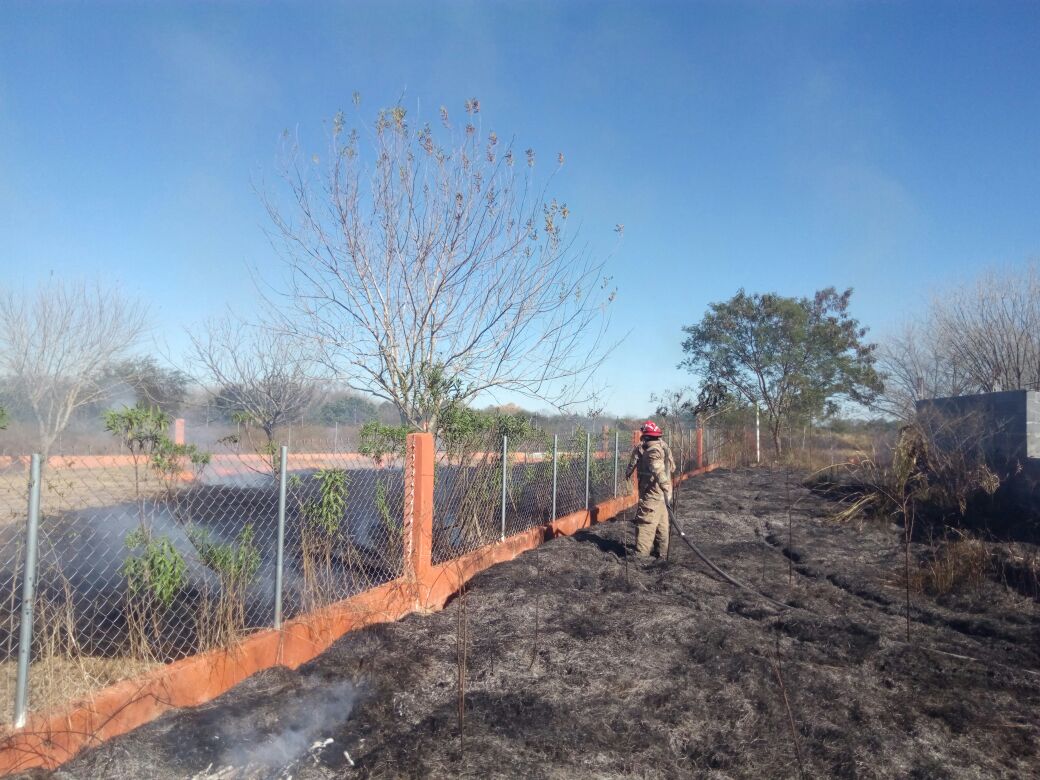 IMÁGENES DE INCENDIO PASTIZAL EN SANTANA VIEJO, EN GENERAL TERÁN, EN EL CUAL SE DESCONOCE LOS HECHOS QUE SE PROVOCÓ EL INCENDIO
