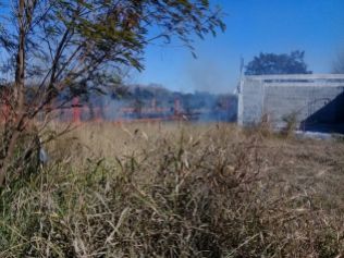 WhatsApp Image 2018-01-12 at 3.30.19 PM IMÁGENES DE INCENDIO PASTIZAL EN SANTANA VIEJO, EN GENERAL TERÁN, EN EL CUAL SE DESCONOCE LOS HECHOS QUE SE PROVOCÓ EL INCENDIO
