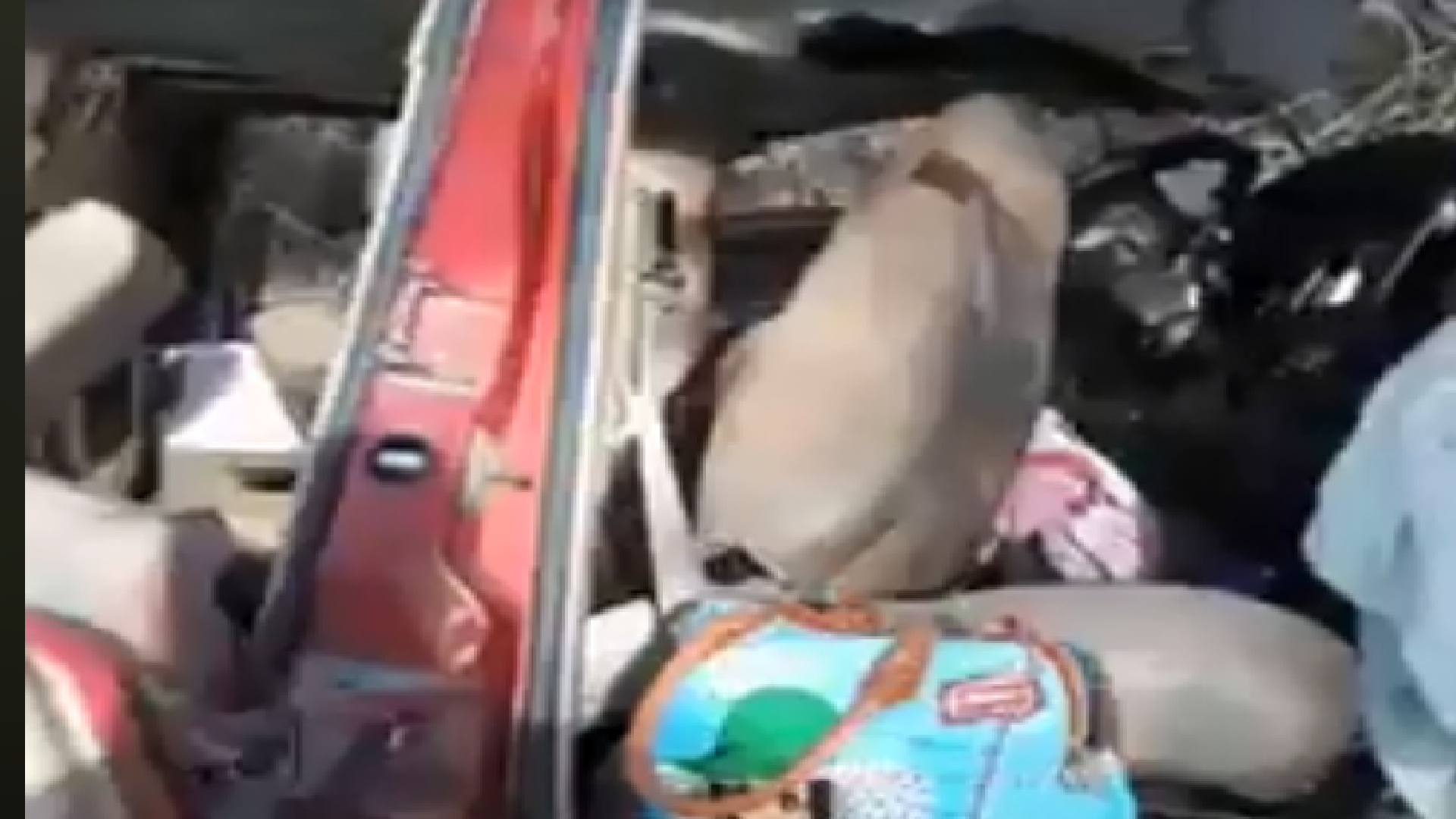 5 PERSONAS RESULTAN LESIONADAS TRAS VOLCADURA.