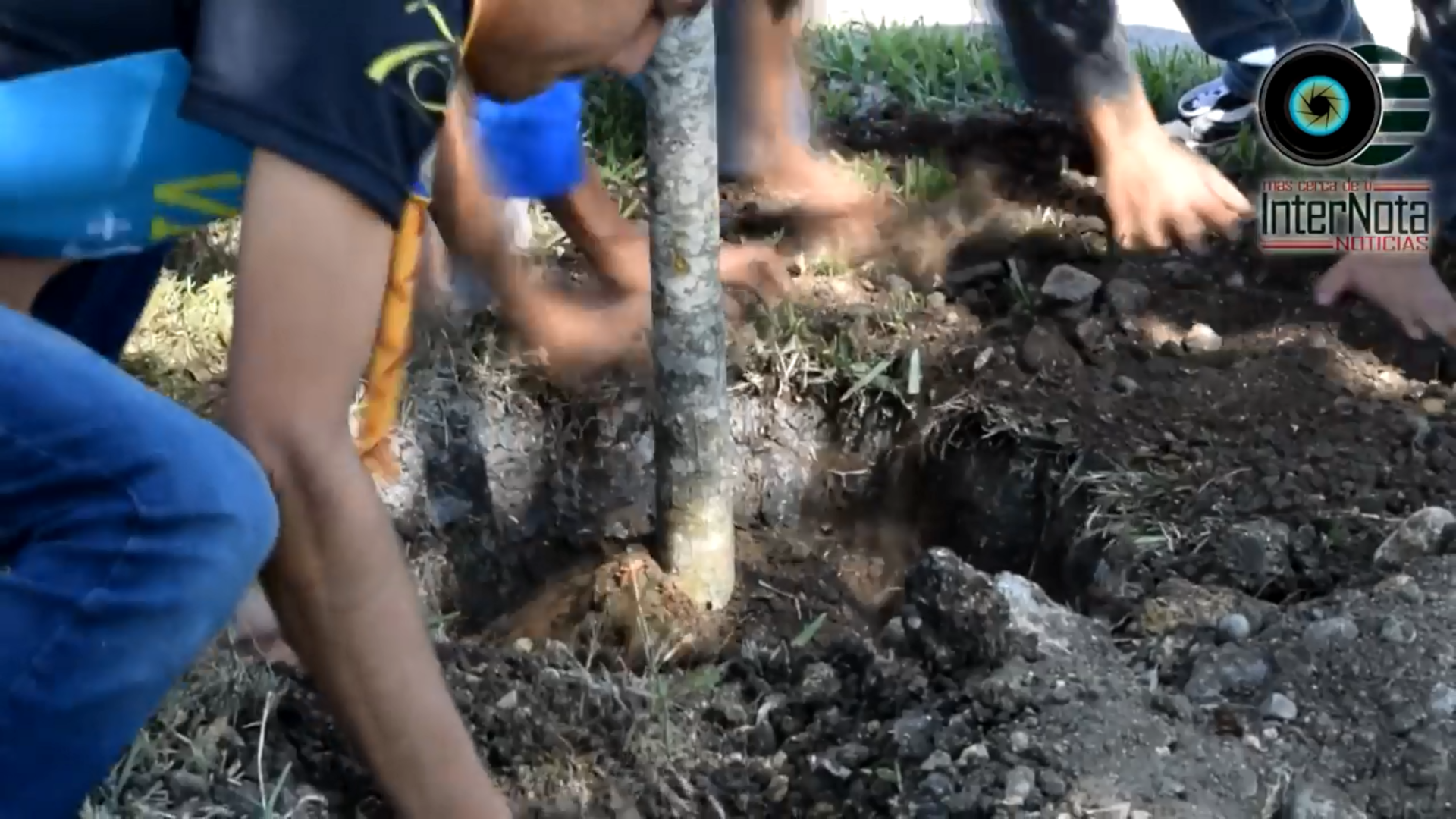 POR UN MONTEMORELOS MAS VERDE