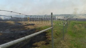 SE REGISTRA FUERTE INCENDIO PASTIZAL.