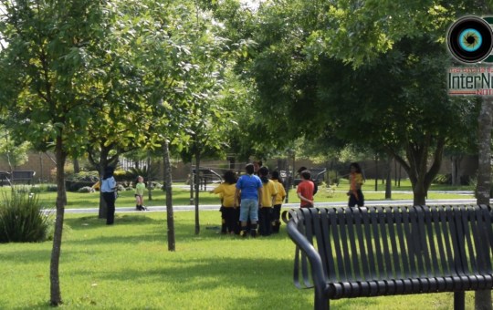 CELEBRAN DIA DEL SCOUTS EN PARQUE BICENTENARIO.
