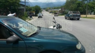 ACCIDENTE VIAL TIPO ATROPELLO #ALLENDE