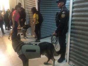 CIERRAN PULGA RÍO POR OPERATIVO POLICIAL.