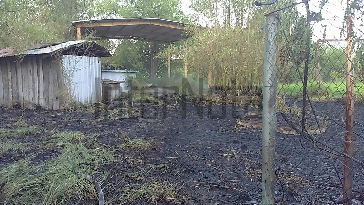 #INTERNOTA #ENVIVO MOVILIZACIÓN DE PROTECCIÓN CIVIL POR REPORTE DE INCENDIO EN #ALLENDE