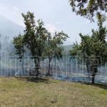 REPORTAN INCENDIO EN LA COMUNIDAD DE LAS RAÍCES