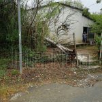 FUERTES VIENTOS DERRIBAN ÁRBOL EN LA COMUNIDAD HACIENDA LOS GUZMÁN EN ALLENDE N.L