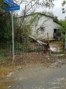 FUERTES VIENTOS DERRIBAN ÁRBOL EN LA COMUNIDAD HACIENDA LOS GUZMÁN EN ALLENDE N.L
