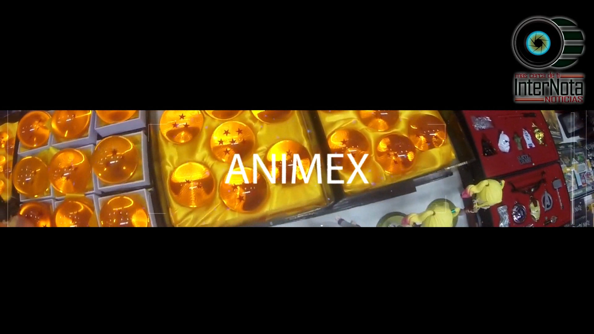 ANIMEX 2018