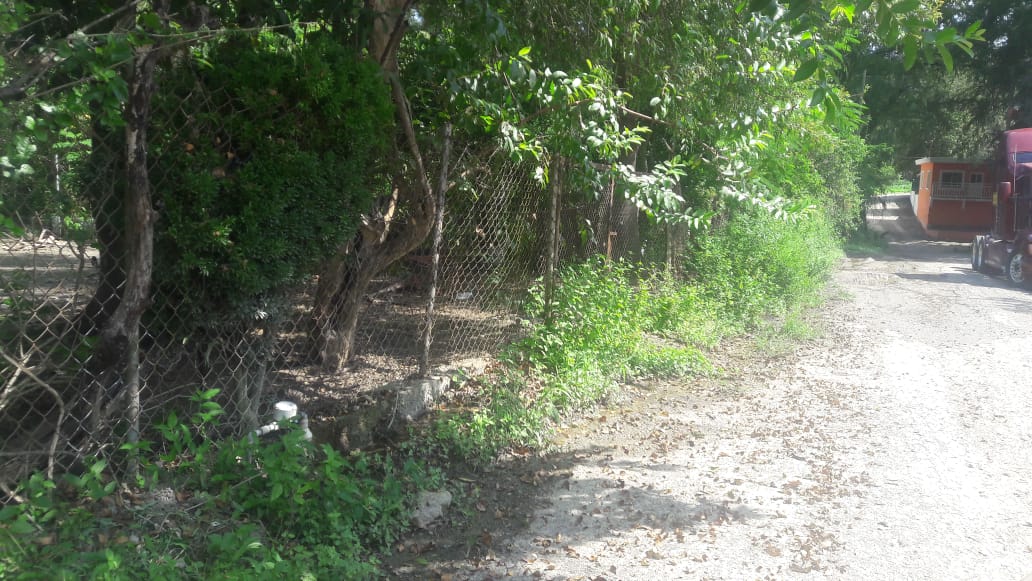 VECINOS REPORTAN FUGA DE AGUA EN EL CERRITO