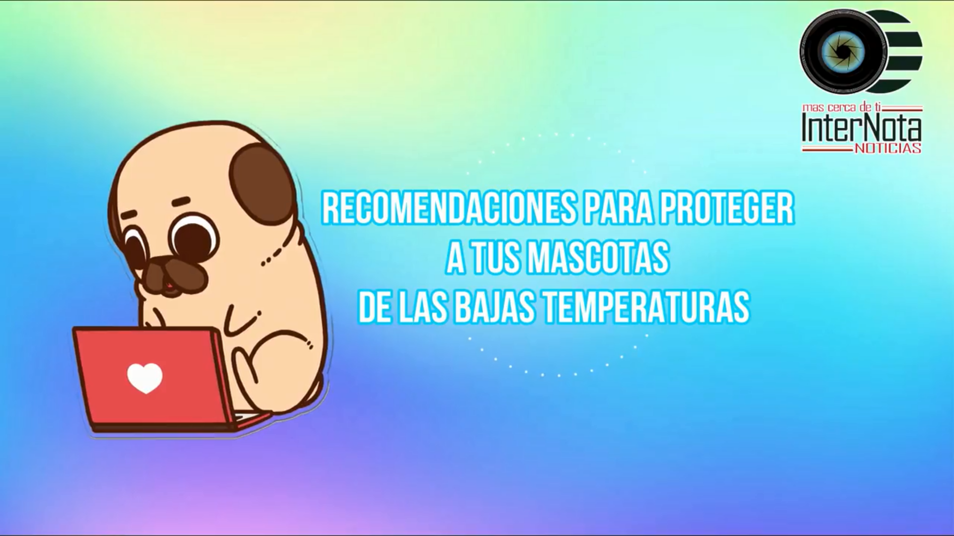 RECOMENDACIONES PARA PROTEGER A TUS MASCOTAS DE LAS BAJAS TEMPERATURAS