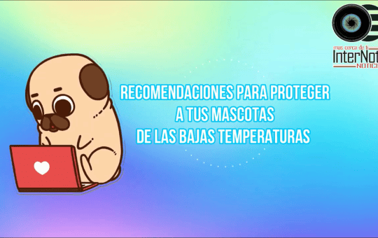 RECOMENDACIONES PARA PROTEGER A TUS MASCOTAS DE LAS BAJAS TEMPERATURAS
