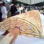 VERACRUZ TIENE EL 'ELOTE MÁS GRANDE'; DESEA ROMPER RÉCORD GUINNESS