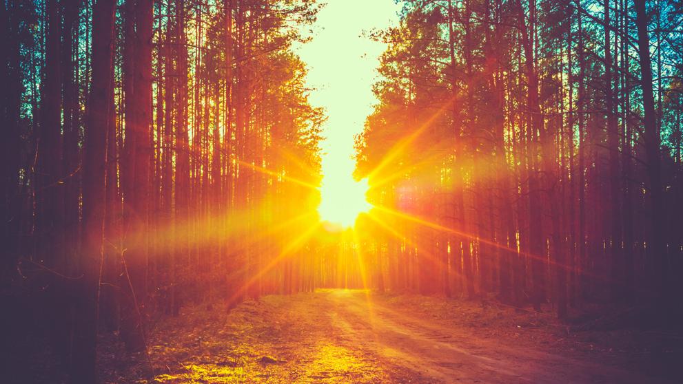 SOLSTICIO DE INVIERNO: QUÉ ES Y POR QUÉ SE LLAMA “SOL QUIETO”