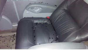 APEDREAN CAMIÓN DE RAYADOS DURANTE VISITA A TORREÓN