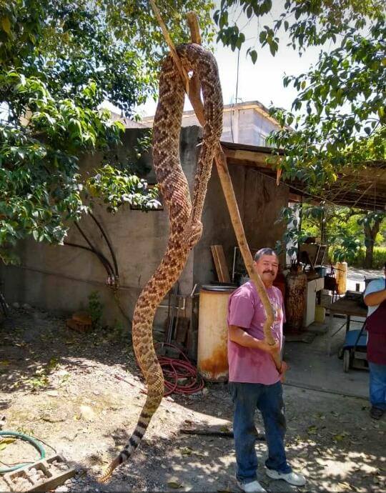 CIRCULA EN REDES ESTA IMAGEN, ASEGURAN QUE FUE CAPTURADA EN EJIDO PALMITOS CADEREYTA N.L.