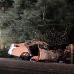 FALLECE CONDUCTOR AL CHOCAR CONTRA ÁRBOL