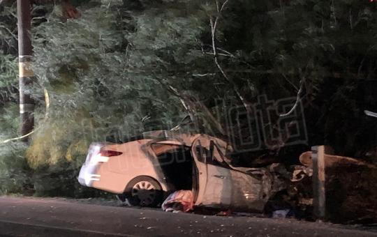 FALLECE CONDUCTOR AL CHOCAR CONTRA ÁRBOL