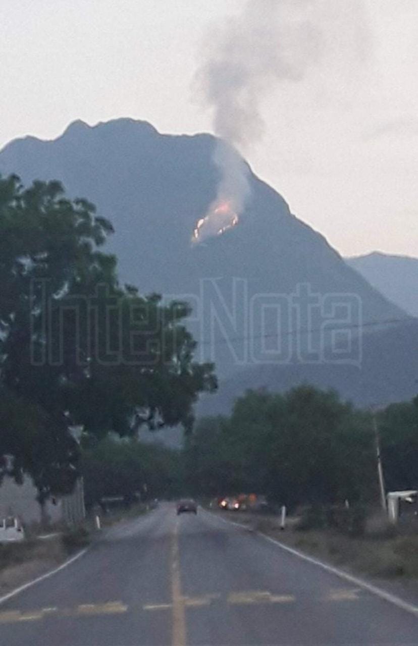 REPORTAN INCENDIO FORESTAL EN LA SIERRA DE RAYONES N.L.