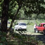 PERSONA PIERDE LA VIDA TRAS SUFRIR UN INFARTO MIENTRAS RECOLECTABA LEÑA.