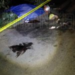 FUERTE ACCIDENTE MOTOCICLISTA DEJA DOS PERSONAS FALLECIDAS EN CAMINO A LA PAZ