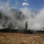 LLEVAN A CABO LA EXPOSICIÓN DE PINTURA CON ARTISTAS CON DISCAPACIDAD INTELECTUAL DE MEXICO, EN EL MUNICIPIO DE ALLENDE N.L.