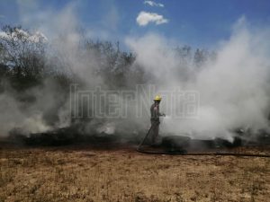 LLEVAN A CABO LA EXPOSICIÓN DE PINTURA CON ARTISTAS CON DISCAPACIDAD INTELECTUAL DE MEXICO, EN EL MUNICIPIO DE ALLENDE N.L.