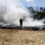 LLEVAN A CABO LA EXPOSICIÓN DE PINTURA CON ARTISTAS CON DISCAPACIDAD INTELECTUAL DE MEXICO, EN EL MUNICIPIO DE ALLENDE N.L.