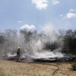 LLEVAN A CABO LA EXPOSICIÓN DE PINTURA CON ARTISTAS CON DISCAPACIDAD INTELECTUAL DE MEXICO, EN EL MUNICIPIO DE ALLENDE N.L.