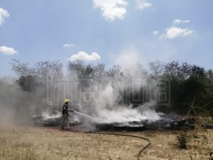 LLEVAN A CABO LA EXPOSICIÓN DE PINTURA CON ARTISTAS CON DISCAPACIDAD INTELECTUAL DE MEXICO, EN EL MUNICIPIO DE ALLENDE N.L.