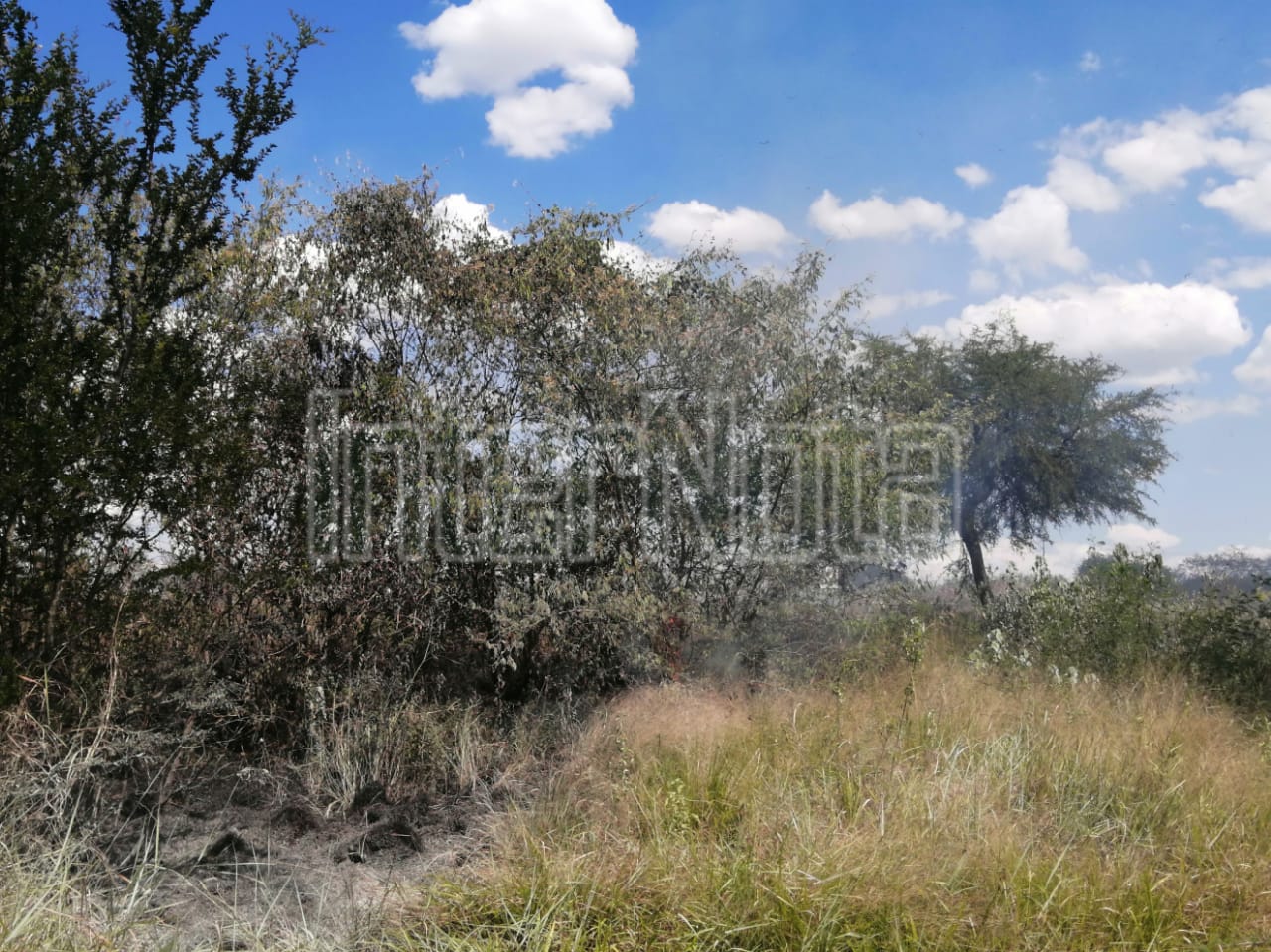 #ENVIVO SE REGISTRA INCENDIO DE PASTIZAL.