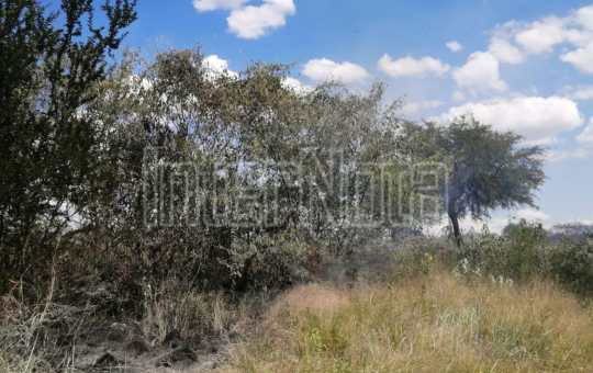 #ENVIVO SE REGISTRA INCENDIO DE PASTIZAL.