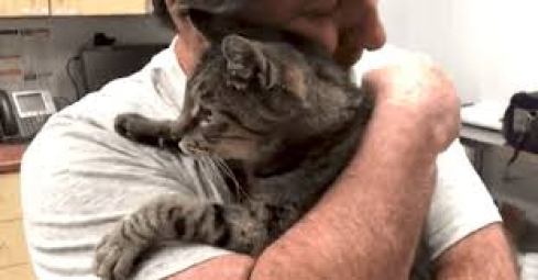 REENCUENTRO DE HOMBRE CON SU GATO TRAS 7 AÑOS DE DESAPARICIÓN
