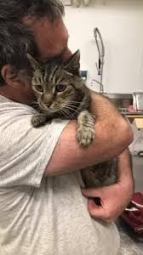 REENCUENTRO DE HOMBRE CON SU GATO TRAS 7 AÑOS DE DESAPARICIÓN