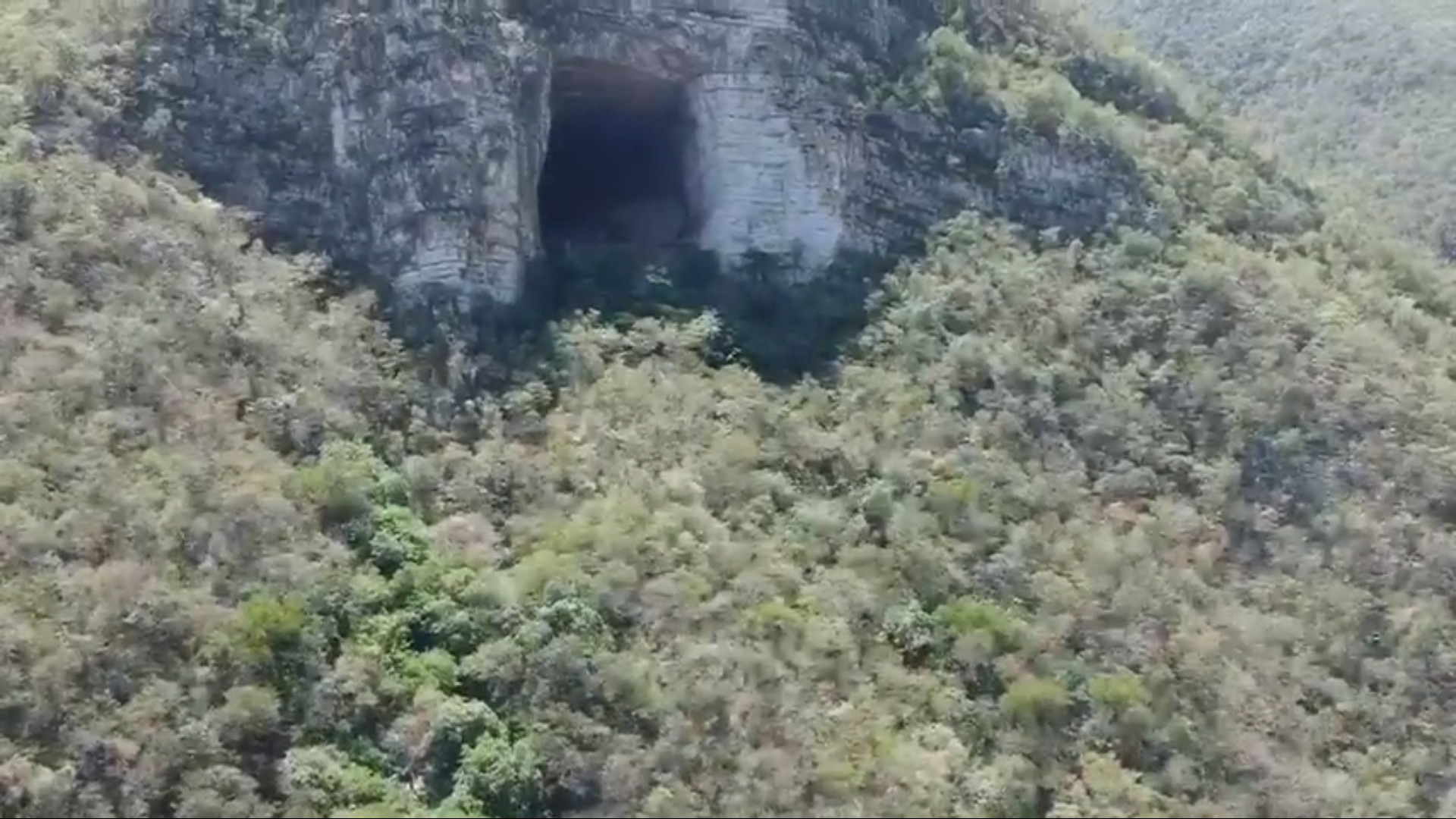 EQUIPA CRISTINA DÍAZ A SERVIDORES PÚBLICOS CON CARETAS MÉDICAS