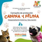 El Gobierno de Montemorelos NL invita este miércoles 18 de marzo Campaña de Protección Canina y Felina en la Plaza de las Alamedas📍 ¡Trae a tus mascotas! 🐾