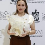 ES MOVILIDAD EN NUEVO LEÓN UN ‘ELEFANTE BLANCO’.- AILE TAMEZ